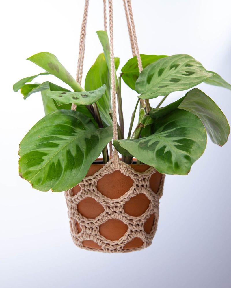 Free Crochet Plant Hanger Pattern free crochet pattern by Sarah Stearns