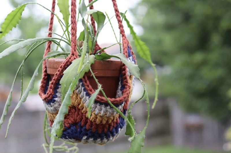 Easy Plant Hanger Crochet Pattern free crochet pattern by Sarah